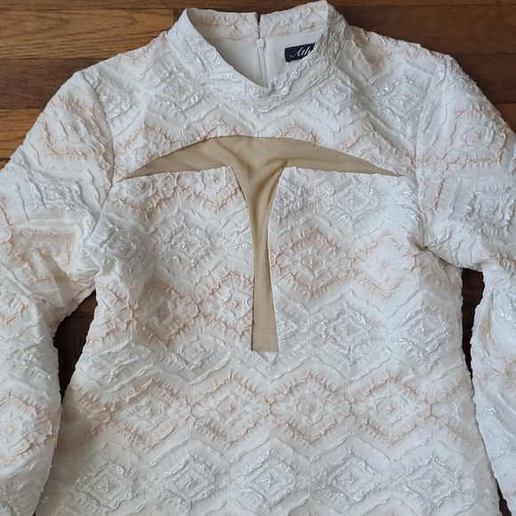 Athina Collection Mini Dress - Picture 4 of 10